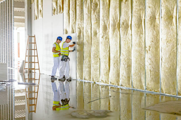 Types of Insulation We Offer in Malvern, AL